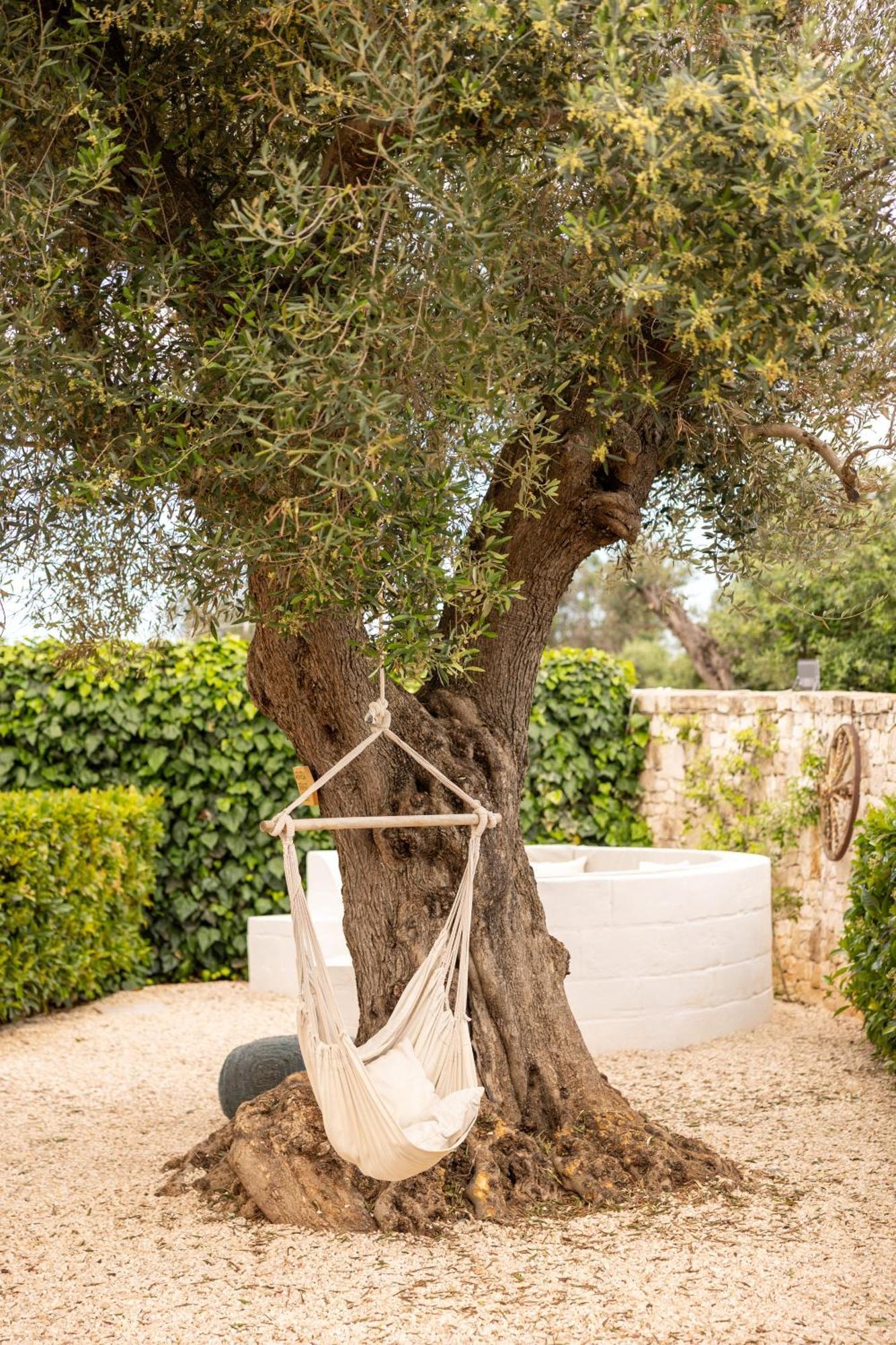 B&B Villa Mamma Grazia サン・ヴィート・デイ・ノルマンニ エクステリア 写真